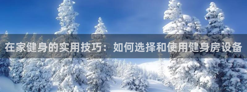 意昂4代理